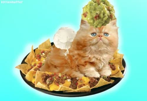 Gdzie kupić guacamole w Polsce? Najlepsze sklepy i oferty